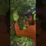 Мгновенная резка краткое обучающее видео