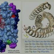 Clasp Common Lisp Using LLVM And C For Designing Molecules
