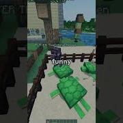 Weirdest Turtle Farm I Ve Ever Seen Minecraft