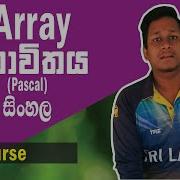 Array Function In Pascal Programming Sinhala Part 06