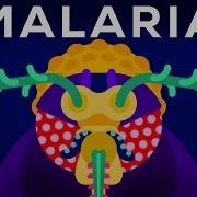 Genetic Engineering And Diseases Gene Drive Malaria