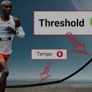 Лактатный порог и темповый бег НАУКА о тренировочных зонах