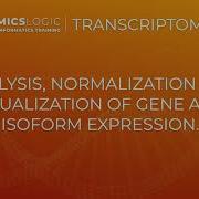 Omics Logic Transcriptomics Working With The Table Of Expression Excel R And Python Norm