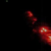 Predator Laser Sight
