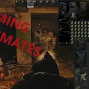 Escape From Tarkov Team Killing Compilation 1