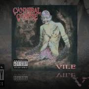 Cannibal Corpse Devoured By Vermin OFFICIAL