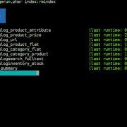 N98 Magerun Reindex Multiple Indexers