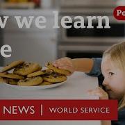 Why Do We Lie CrowdScience Podcast BBC World Service