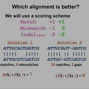 Quantitative Biological Research With Python Lesson 5 Lecture Sequence Alignment