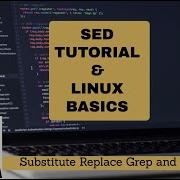 SED Tutorial Basic Substitution Linux Shell BASH Use Sed To Substitute Replace Use Sed As Grep