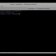 Binary Exploitation Basics Integer Limits Gets Buffer Overflow