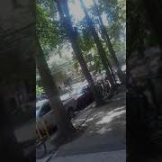 Padres Inconscientes Y Mierdas Con Sus Hijos