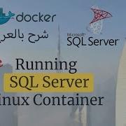 Running SQL Server On Linux Container Backup And Restore Docker شرح