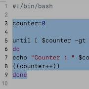 EP008 MacOS Linux Bash Scripting Loops