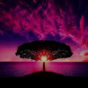 Dub Techno Selection 21