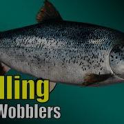 Russian Fishing 4 Ladoga Archipelago Ladoga Salmon Is Trolling Worth It Rf4