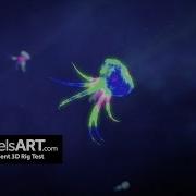 Element 3D MIDAS Combined After Effects Test Rig BIOLUMINESCENCE