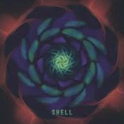 Shell Feat Wang Xuyang