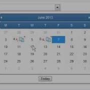Exontrol Masking Date Picker