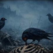 Nickelback Bones For The Crows 2026 HD Audio