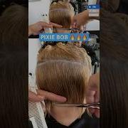 PIXIE BOB CUT Full Tutorial Linked Below