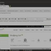 SQL INJECTION Challenge Solution At PHA