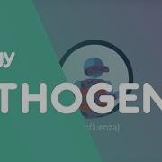 What Are Pathogens Health Biology FuseSchool