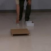 Rutherford Scattering