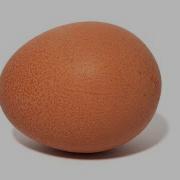 Egg