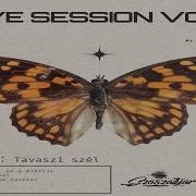 Szószátyár Tavaszi Szél Live Loop Session 2