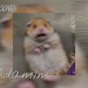 Adamım Sped Up