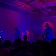 Pink Tie This Wild Life Live