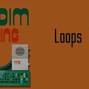 Teenage Engineering EP 40 Riddim Учебное пособие 13 лупов LSS