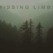 Sleep Token Missing Limbs Country Cover By Duane Scuttlebutt The Fog Town Five