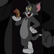 Tom And Jerry Cartoon In Python Turtle Graphics Tomandjerry Trutlecoding Cartoonanimetion Shorts
