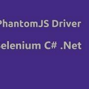 Selenium C PhantomJS Driver
