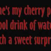 Warrant Cherry Pie With Lyrics