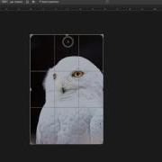 Using Raster Textures In Flash CC