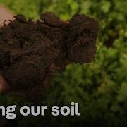 How Farmers Are Protecting The Soil And Our Food Security DW Documentary