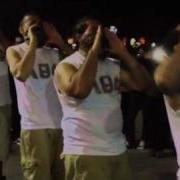 Lambda Theta Phi Probate