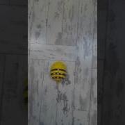Programming A Bee Bot