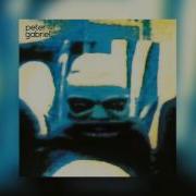 Peter Gabriel Lay Your Hands On Me