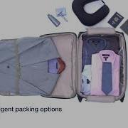 Travelpro Platinum 22 Rollerboard