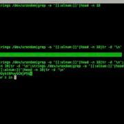 Random Password Generator Linux Shell Script Tutorial