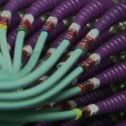 Colours BBC Motion Gallery