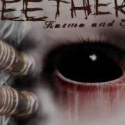 Seether Diseased W Lyrics