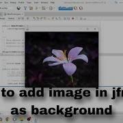How To Set Background Image On JFrame In Java NetBeans Step By Step