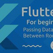Flutter Tutorial For Beginners 30 Passing Route Data