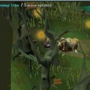 Runescape Bug Floating Log Avi
