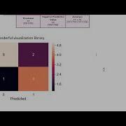 Rice Data Classification